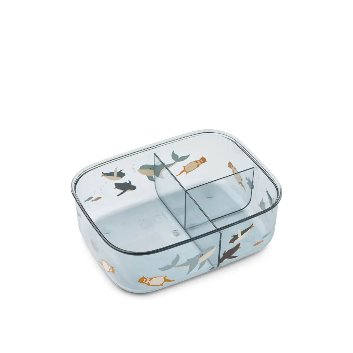 Arthur Tritan Lunchbox - Arctic Sea / Ocean view - Image 2