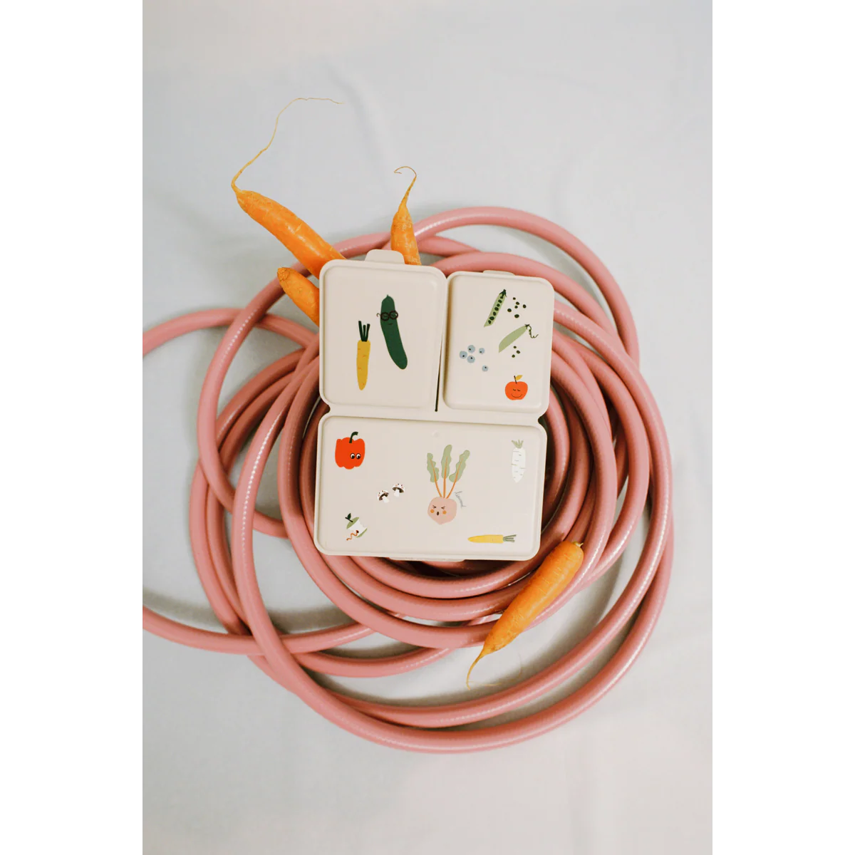 Driss Lunchbox - Vegetable / Sandy - Image 3